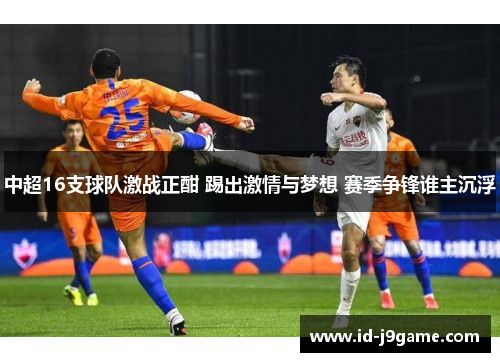 中超16支球队激战正酣 踢出激情与梦想 赛季争锋谁主沉浮