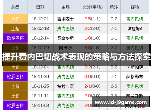 提升费内巴切战术表现的策略与方法探索