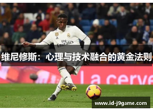 维尼修斯：心理与技术融合的黄金法则
