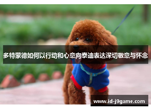 多特蒙德如何以行动和心意向泰迪表达深切敬意与怀念