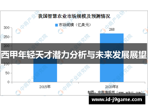 西甲年轻天才潜力分析与未来发展展望