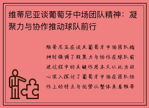 维蒂尼亚谈葡萄牙中场团队精神：凝聚力与协作推动球队前行